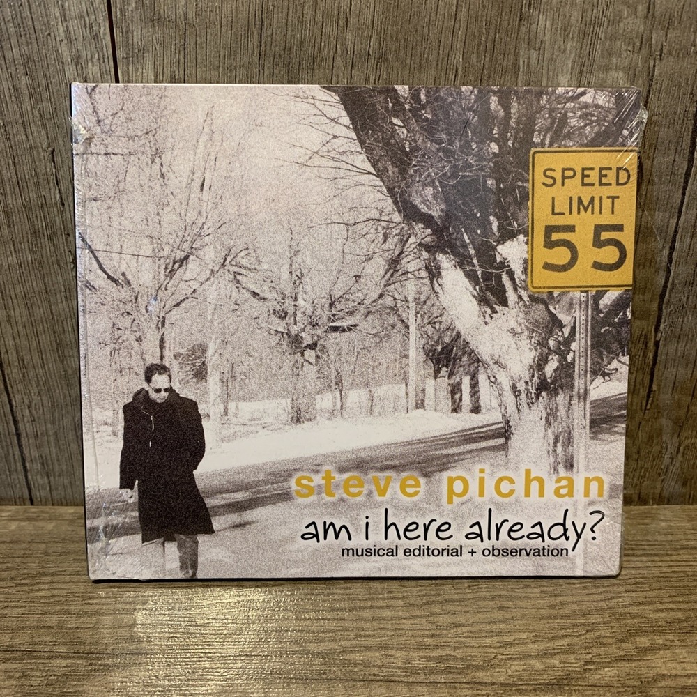 STEVE PICHAN  -  AM I HERE ALREADY  -  CD, 2008